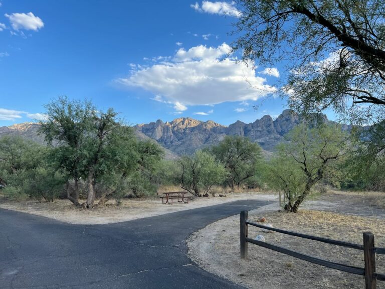 Loop A Site Loop A Site