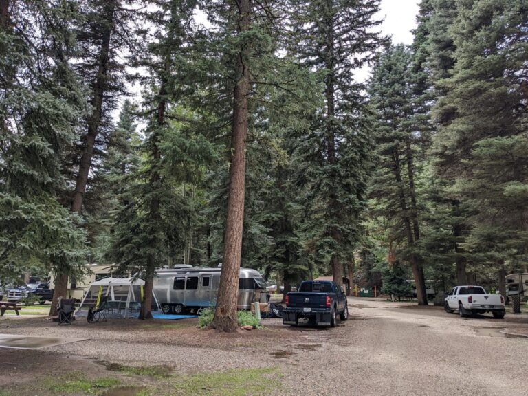 PXL 20220803 210536221 768x576