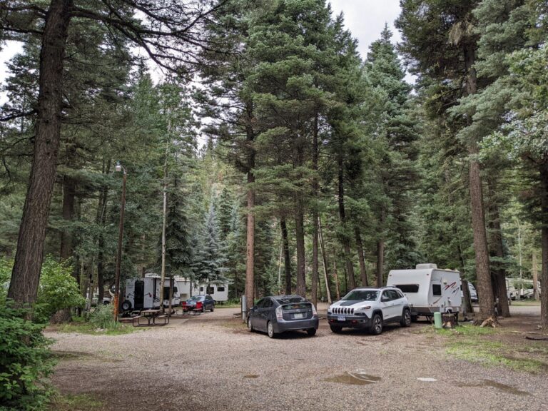 PXL 20220803 211006763 768x576