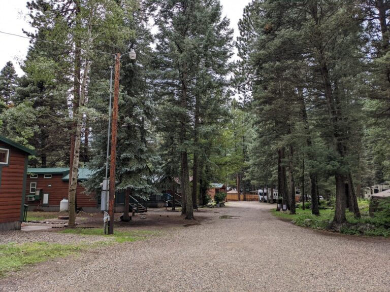 PXL 20220803 211046619 768x576