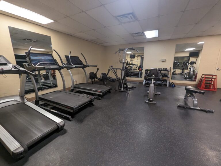 PXL 20240418 025455780 768x578