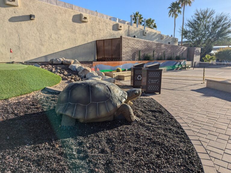 PXL 20241220 224400679 768x578