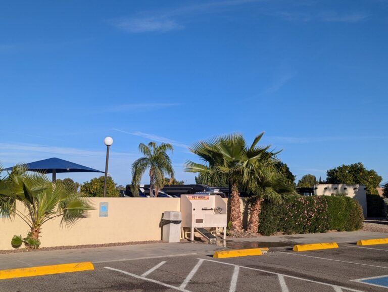 PXL 20241220 225539280 768x578