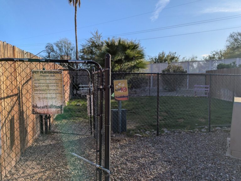 PXL 20241220 225756019 768x578