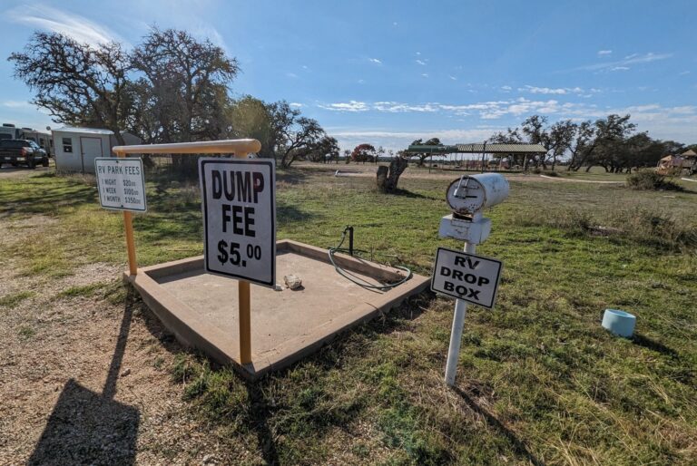 2023 11 26 jill 0497 768x514