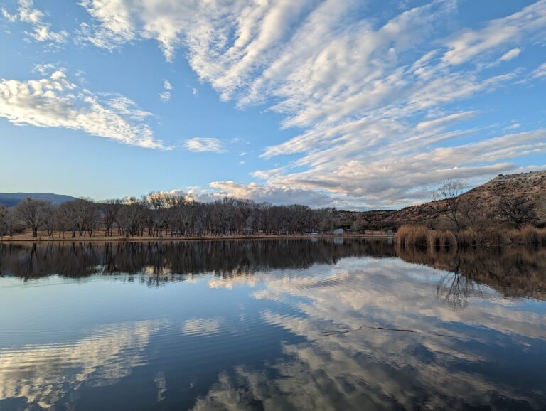 2023 12 20 jill 0639 768x578