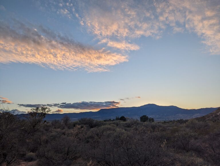 2023 12 20 jill 0651 768x578