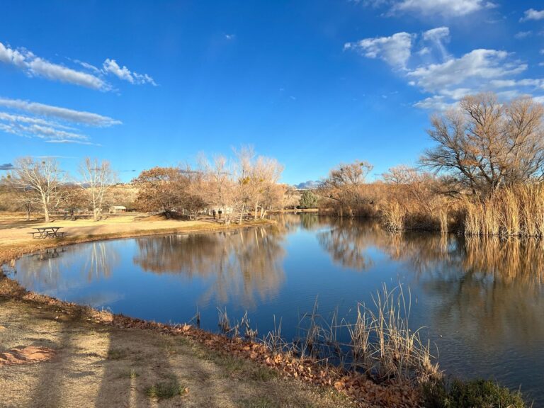 2023 12 20 nick 0678 768x576