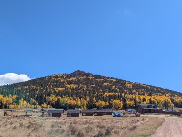 2025 10 01 11.43.24 768x578