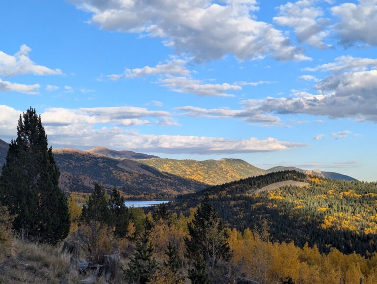 2025 10 01 17.42.28 768x578